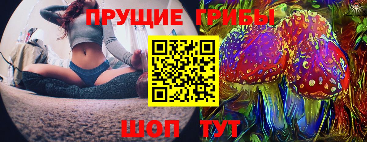 Галлюциногенные грибы Magic Shrooms  Вход с VPN  Псилоцибиновые грибы GOLDEN TEACHER  Хабаровск 
